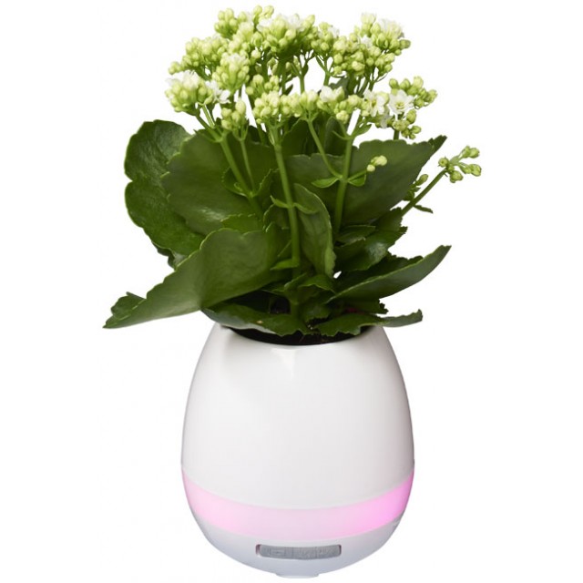 Speaker Bluetooth® Green Thumb Flower Pot