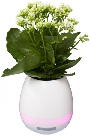 Speaker Bluetooth® Green Thumb Flower Pot